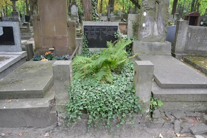 Zdjęcie grobu Stanisław Jasiewicz (1)