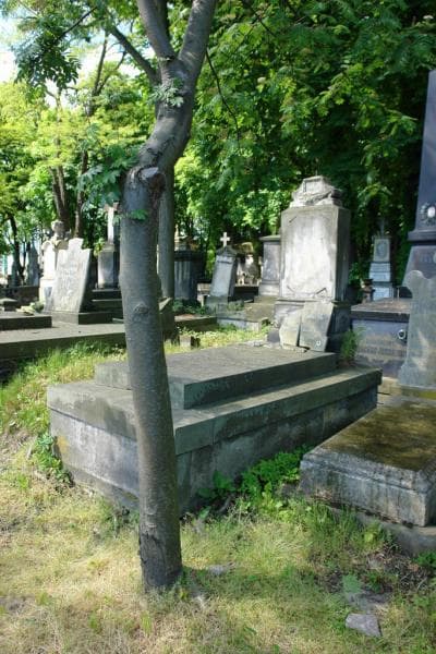 Zdjęcie grobu Stanisława Polak (1)