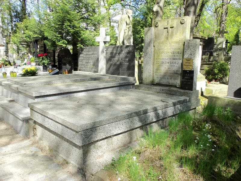 Zdjęcie grobu Joanna Kleszczyńska (1)