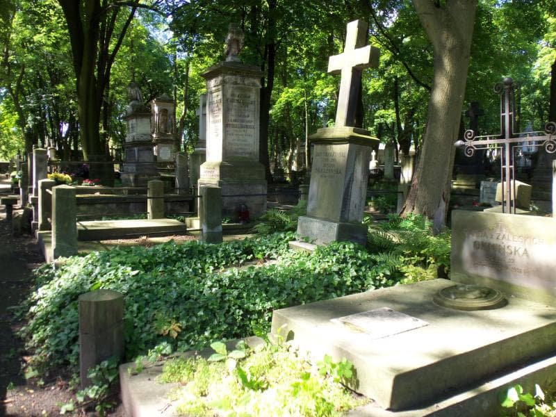 Zdjęcie grobu Mieczysław Bończa-Skarżyński (1)