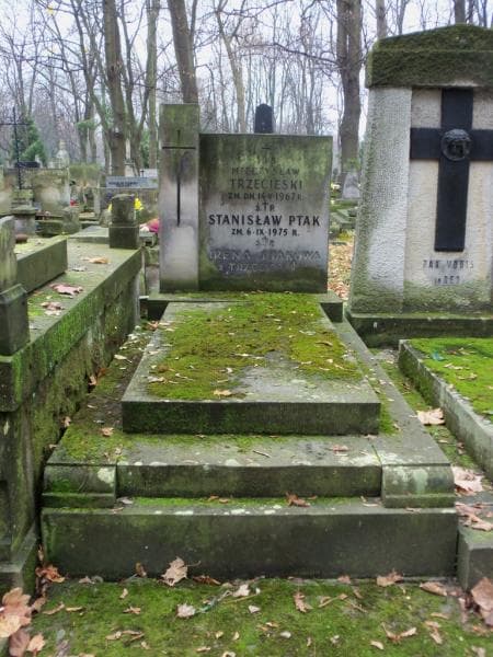 Zdjęcie grobu: Mieczysław Trzecieski