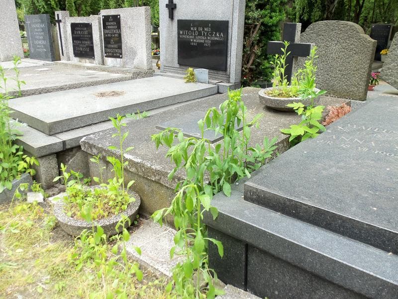 Zdjęcie grobu Ludwik Wypych (2)