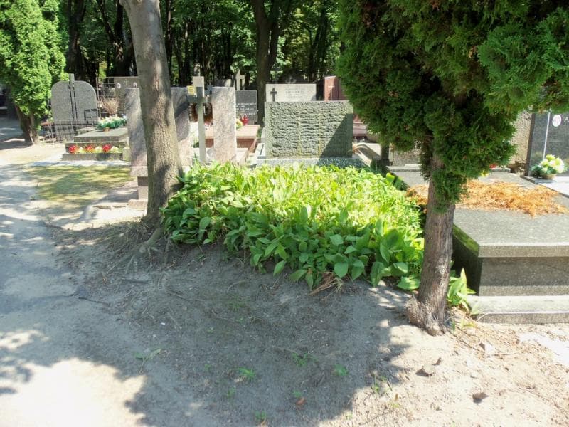 Zdjęcie grobu: Anonim