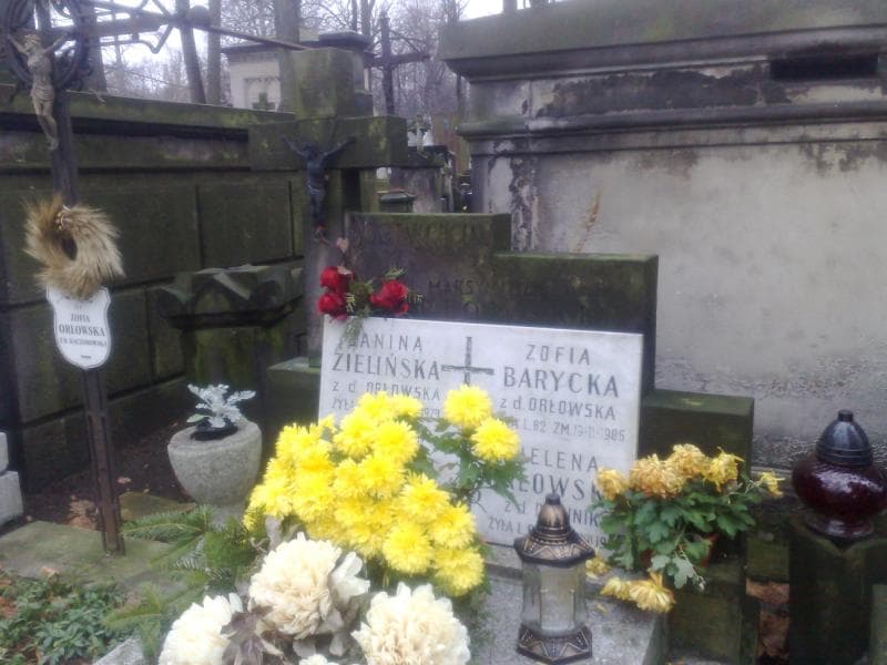 Zdjęcie grobu Zofia Barycka (1)