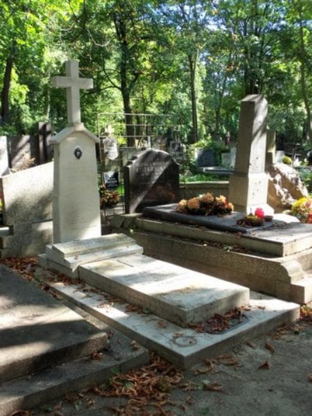 Zdjęcie grobu Helena Brudnicka (1)