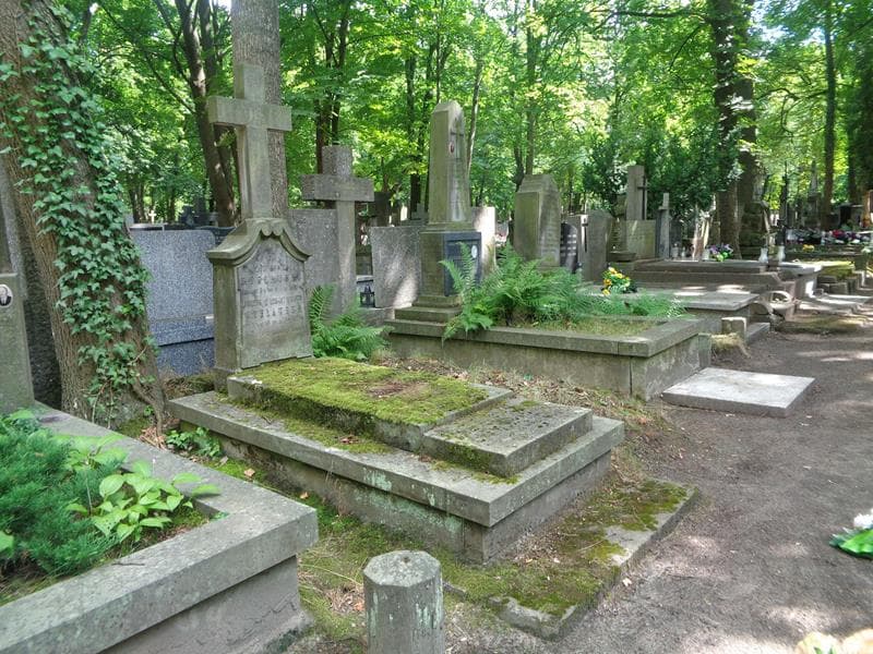 Zdjęcie grobu: Kazimiera Bentlewska