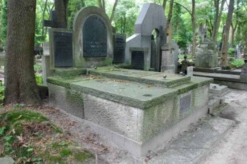 Zdjęcie grobu Jeremi Odyński (1)