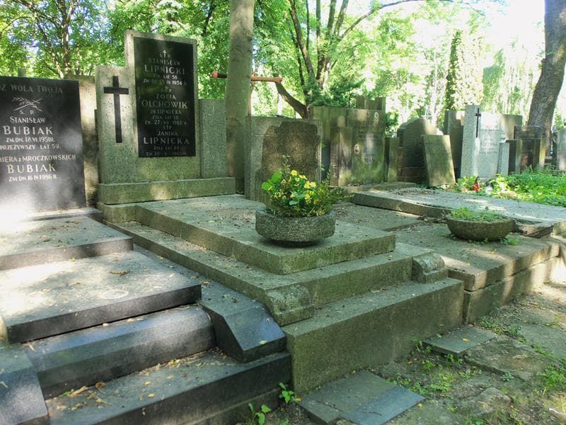 Zdjęcie grobu Zofia Olchowik (1)