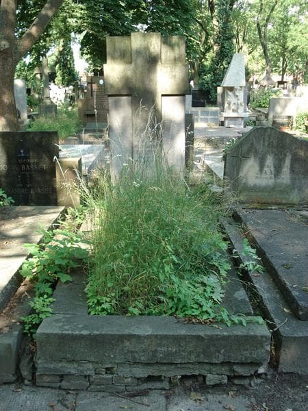 Zdjęcie grobu Apolonja Emilja Czaykowska (1)