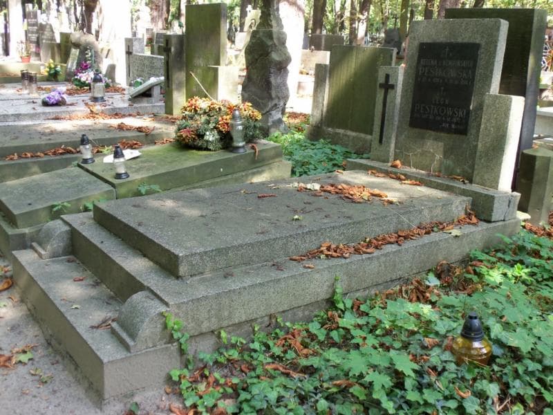 Zdjęcie grobu Helena Pestkowska (1)
