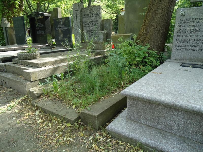 Zdjęcie grobu Waleria Ciosek (1)