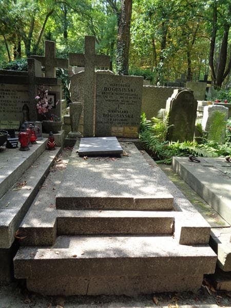 Zdjęcie grobu Aleksander Bogusiński (1)