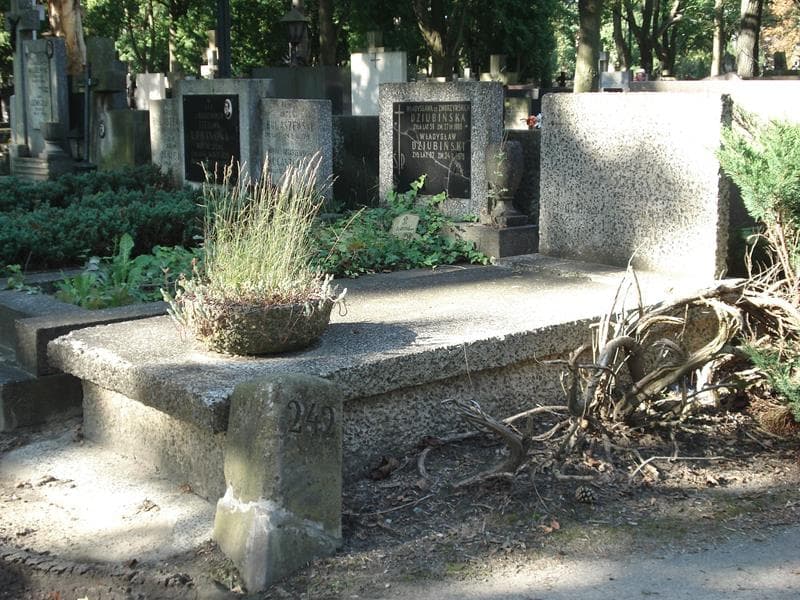 Zdjęcie grobu Genowefa Uliasz (1)