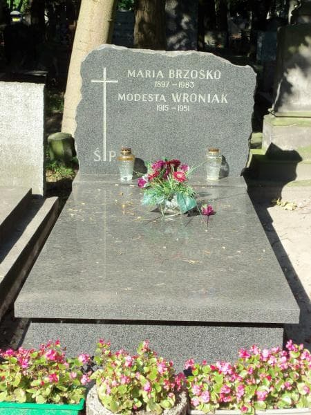 Zdjęcie grobu: Maria Brzośko