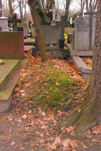 Zdjęcie grobu Anonim (2)