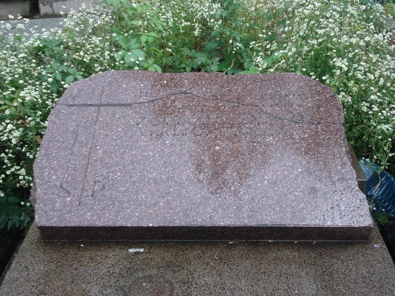Zdjęcie grobu Henryk Trociński (2)
