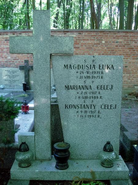 Zdjęcie grobu Konstanty Celej (1)