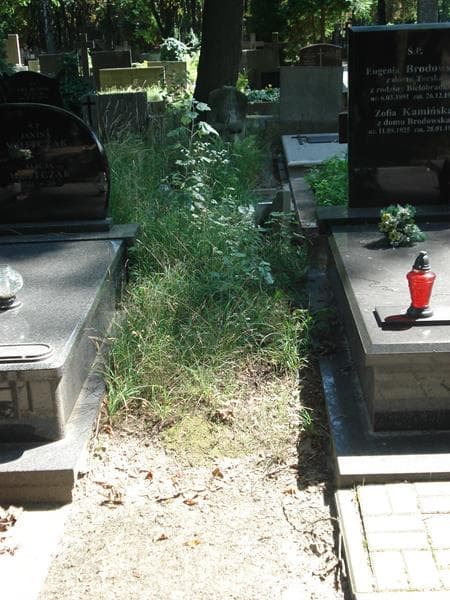 Zdjęcie grobu: Pole Grobowe