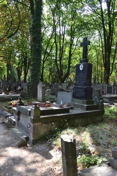 Zdjęcie grobu: Ignacy Majewski