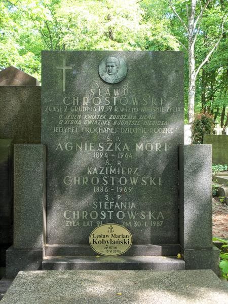 Zdjęcie grobu Stefania Chrostowska (2)