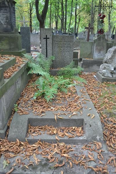 Zdjęcie grobu Bronisława Tomaszewska (1)