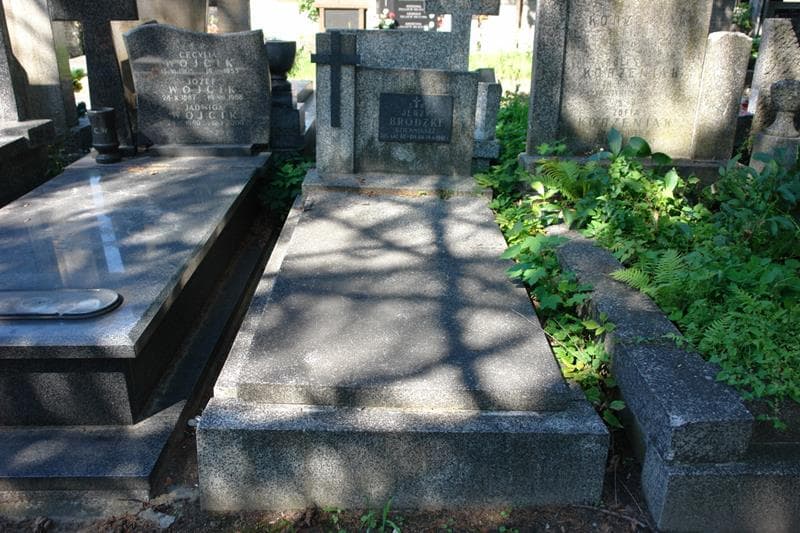 Zdjęcie grobu Jerzy Brodzki (1)