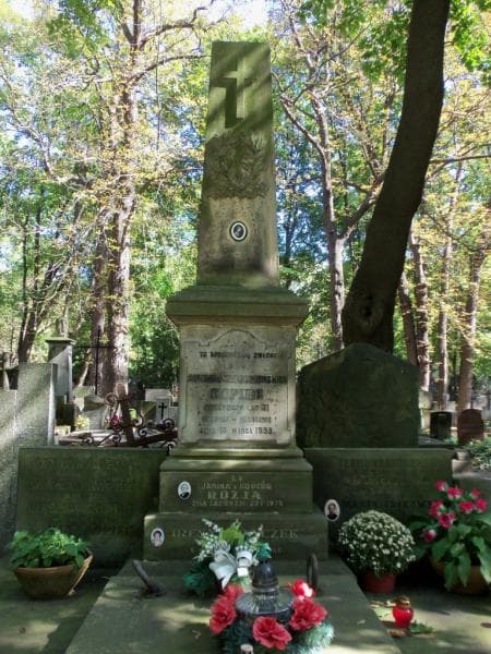 Zdjęcie grobu Teofil Truszkowski (2)