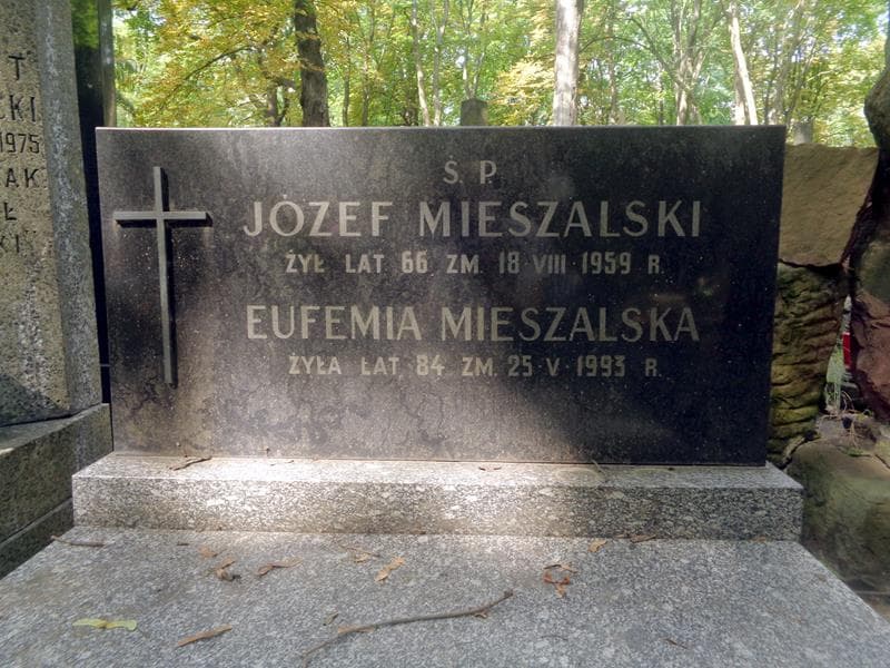 Zdjęcie grobu Józef Mieszalski (2)