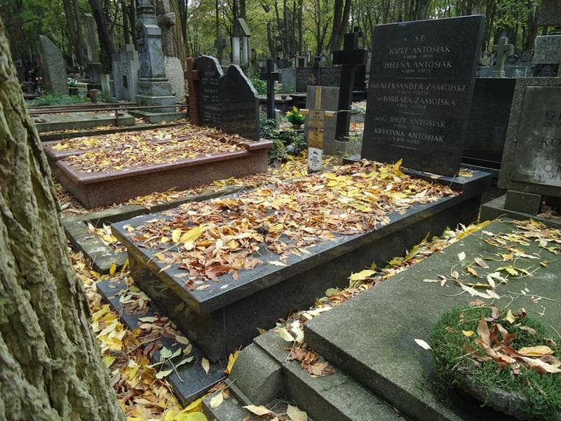 Zdjęcie grobu Jerzy Antosiak (1)