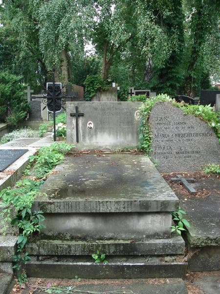 Zdjęcie grobu: Maria Matejek