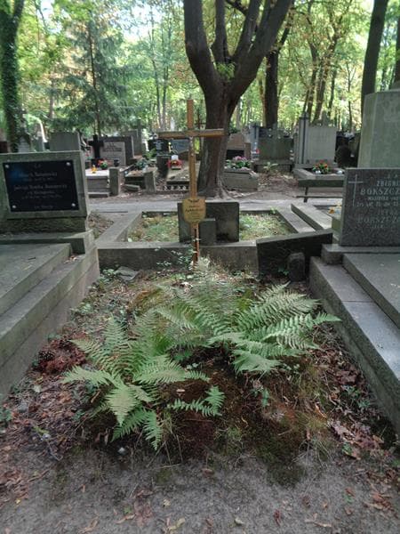 Zdjęcie grobu Andrzej Jabłoński (1)