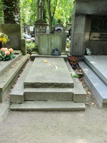 Zdjęcie grobu: Henryka Tuszka