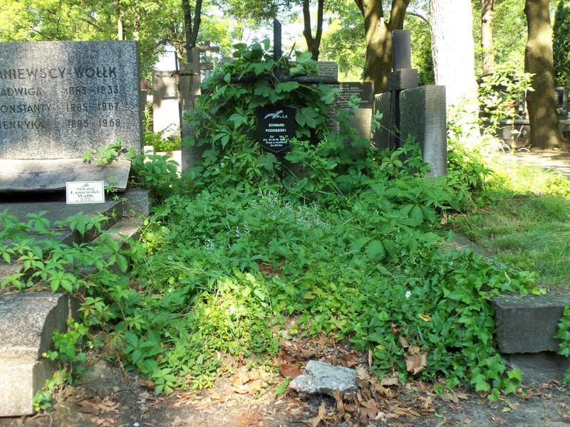 Zdjęcie grobu: Edward Poddębski