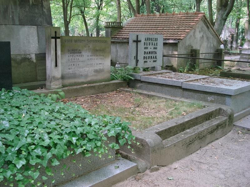 Zdjęcie grobu: Jerzy Daniszewski