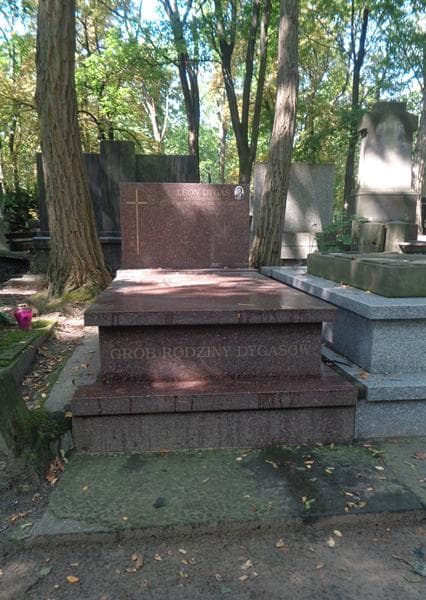 Zdjęcie grobu Leon Dygas (1)