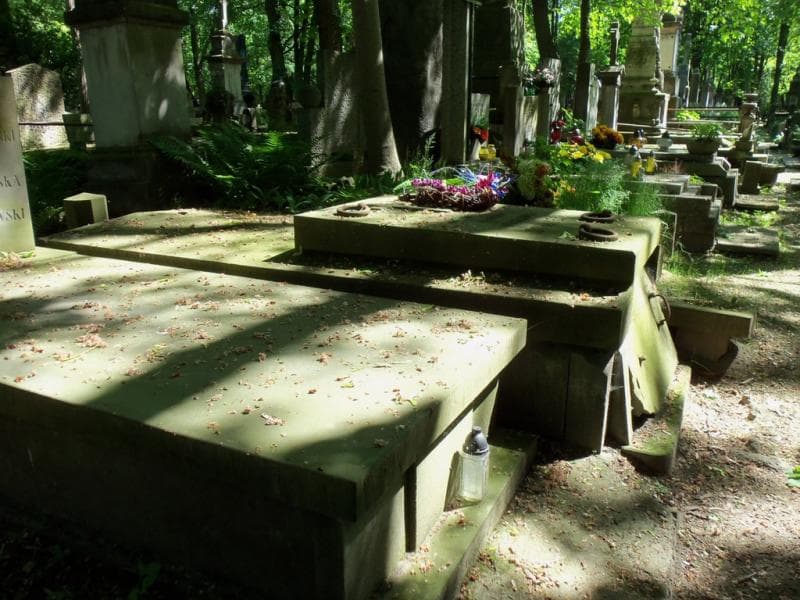 Zdjęcie grobu Wacław Schayer (2)