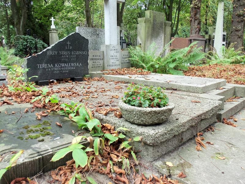 Zdjęcie grobu Jerzy Strus-Łoziński (1)