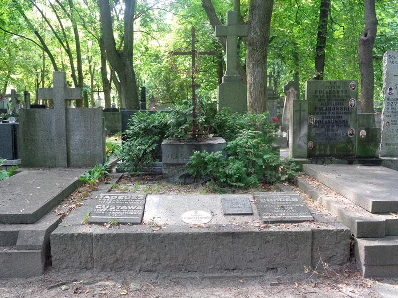 Zdjęcie grobu Tadeusz Urbanowicz (1)