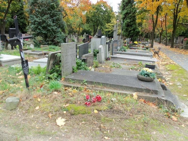 Zdjęcie grobu Stanisław Mastek (2)