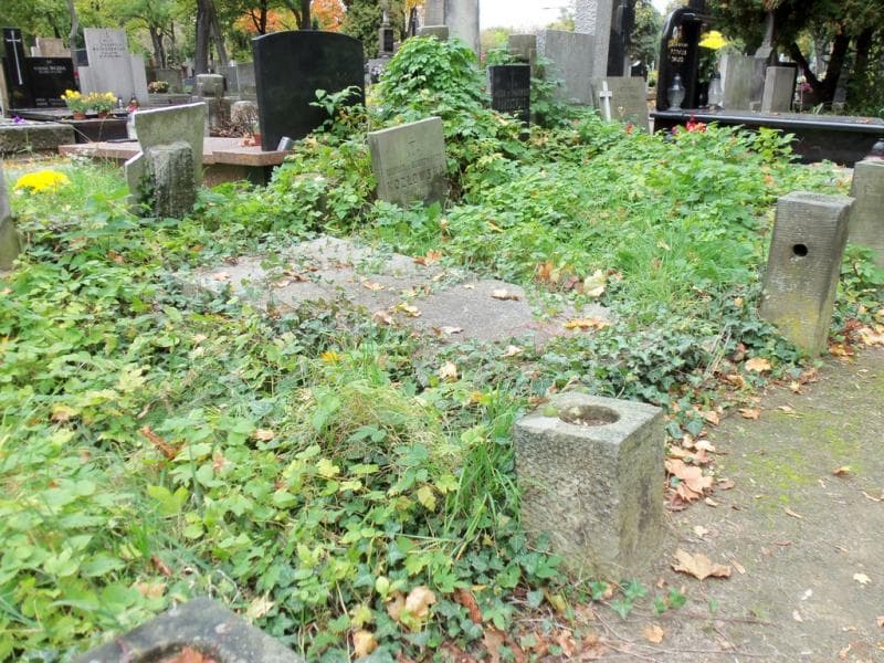 Zdjęcie grobu Władysława Daniszewska (1)