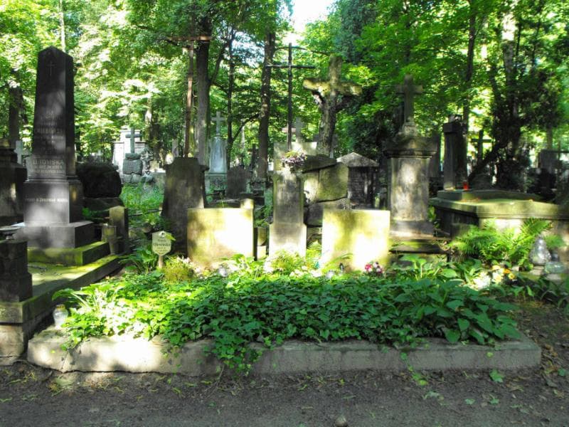 Zdjęcie grobu: Apolonia Andruszkiewicz