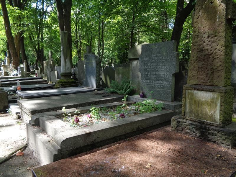 Zdjęcie grobu: Stanisława Szelichowska