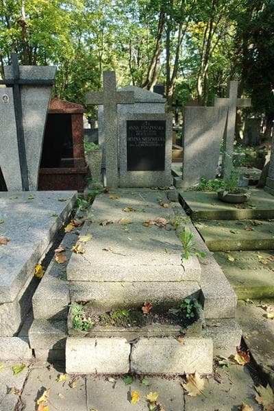 Zdjęcie grobu Anna Ptaszyńska (1)