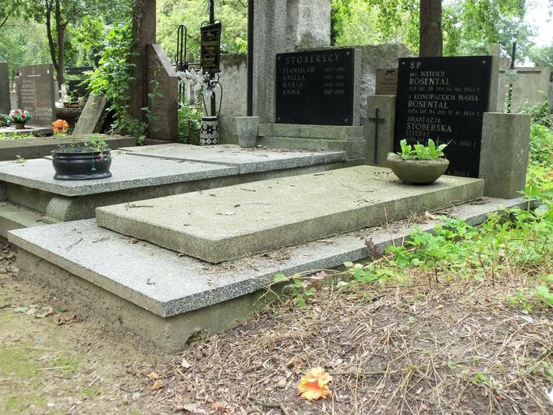 Zdjęcie grobu Anastazja Stoberska (1)