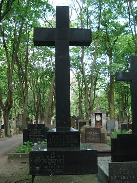 Zdjęcie grobu Władysław Goszczyński (2)