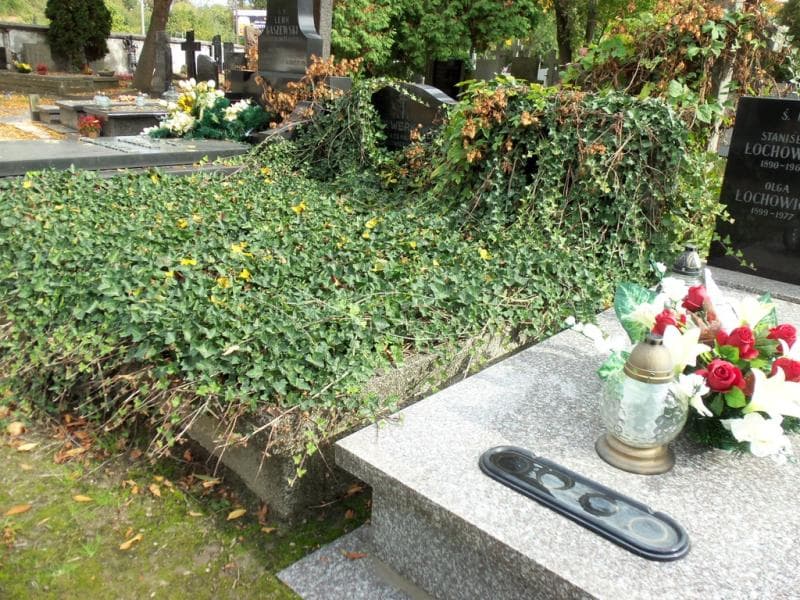 Zdjęcie grobu Józef Dzierżanowski (1)