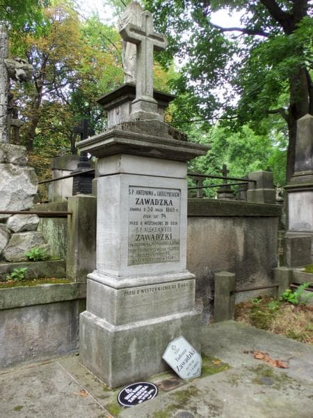 Zdjęcie grobu Aleksander Zawadzki (2)