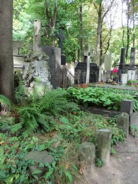 Zdjęcie grobu Adolf De Gershow (1)
