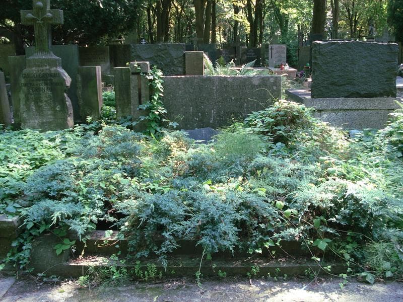 Zdjęcie grobu: Jadwiga Jankowska