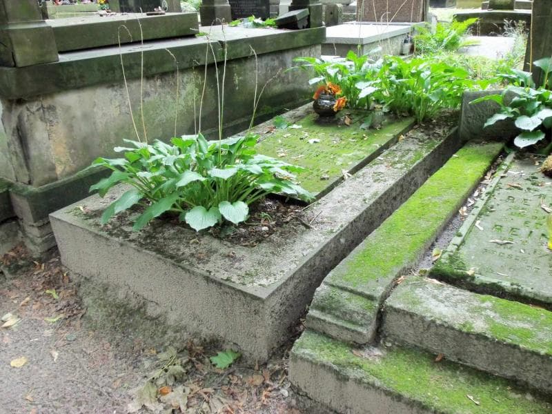 Zdjęcie grobu Franciszek Piekarski (1)